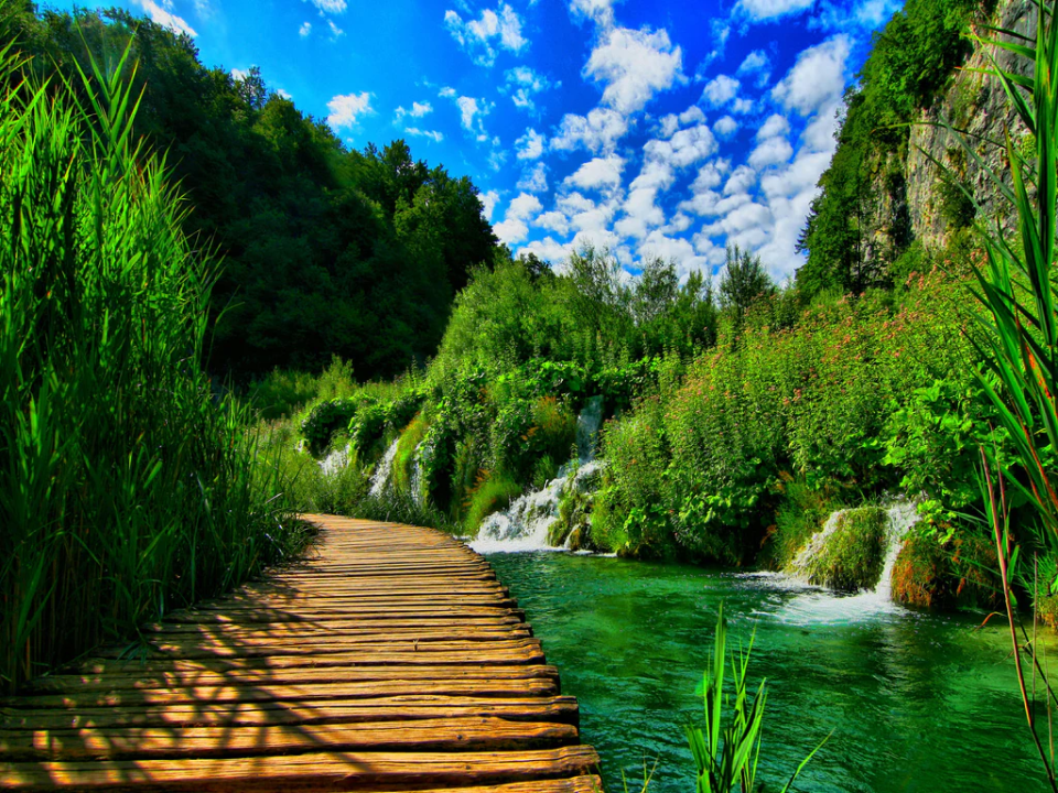 nature1