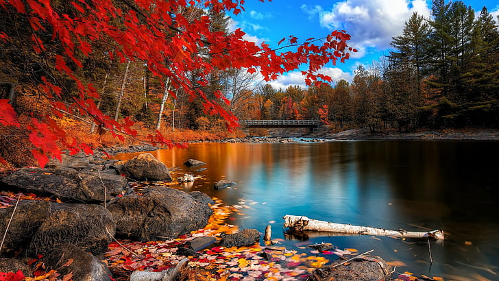 nature3