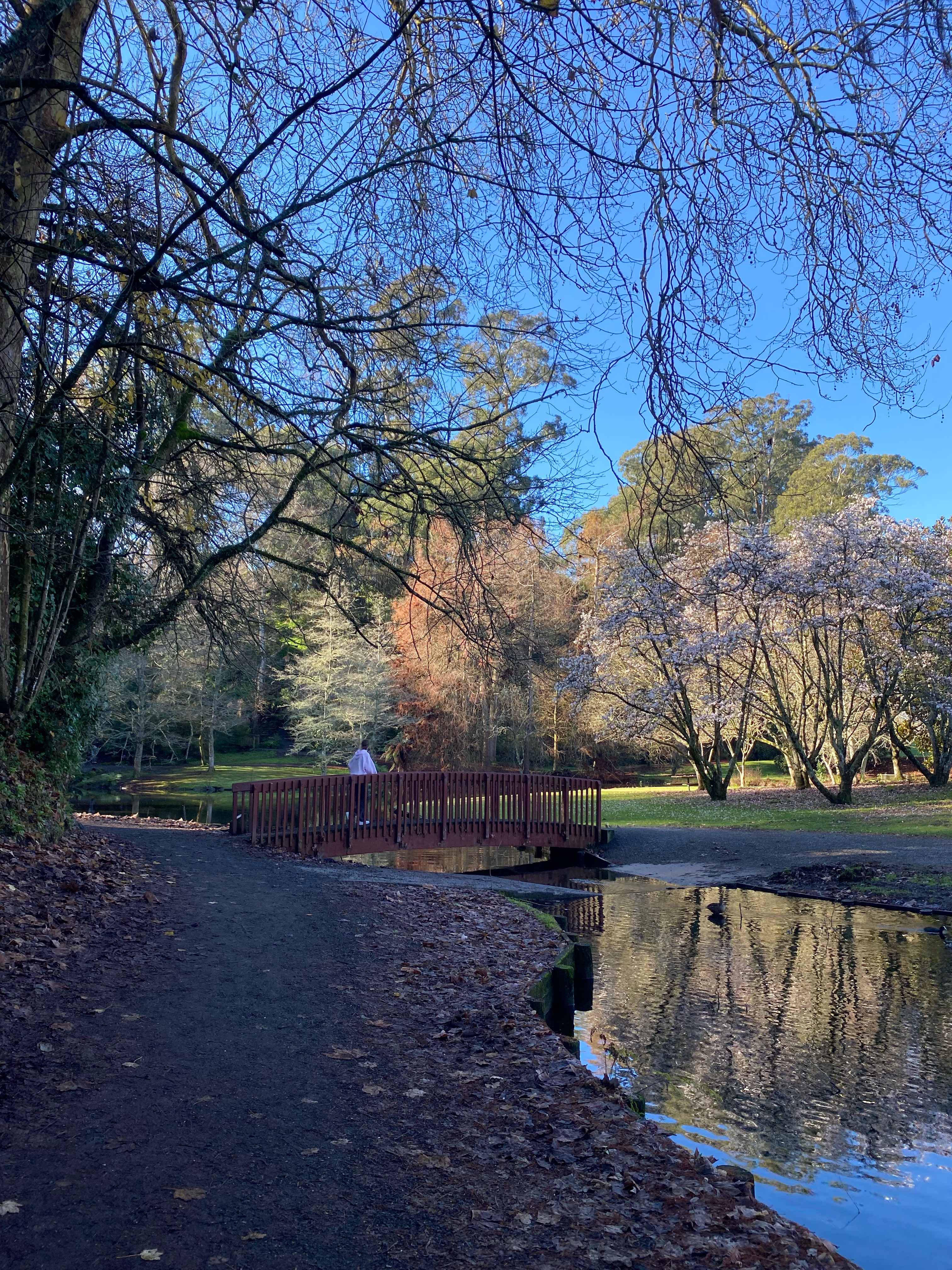 Another Cambridge