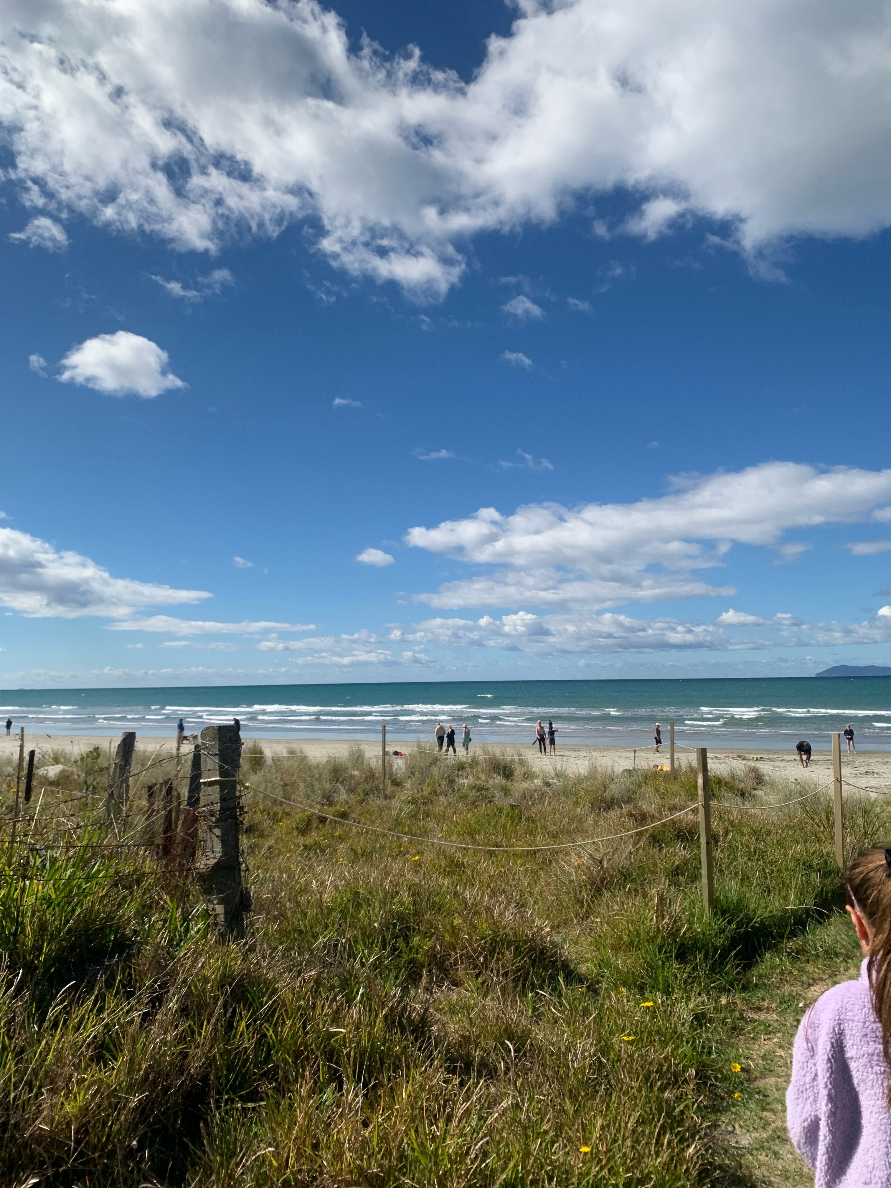Another Waihi