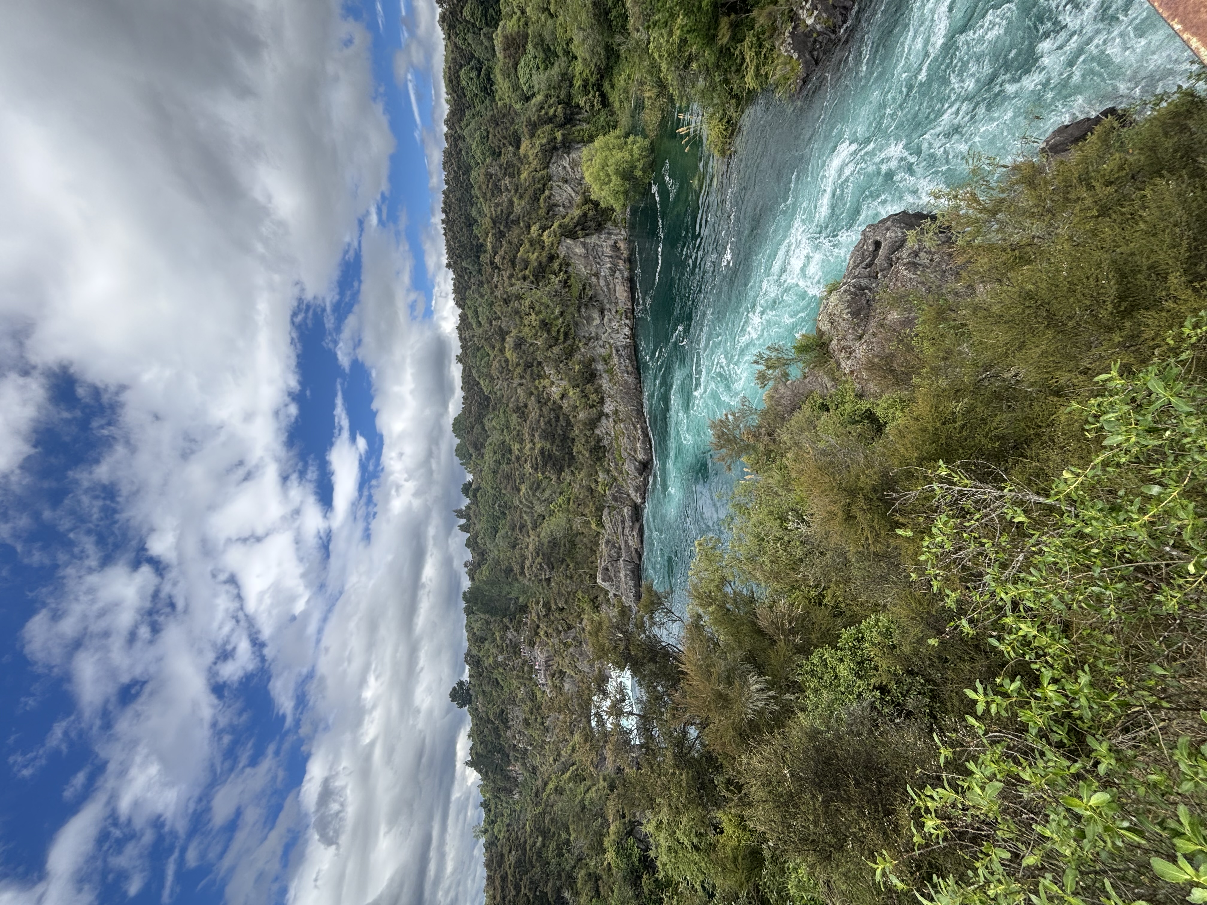 Taupo 1