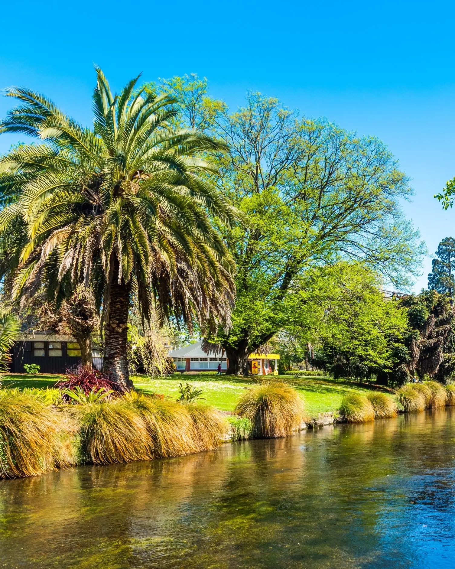 Christchurch 3