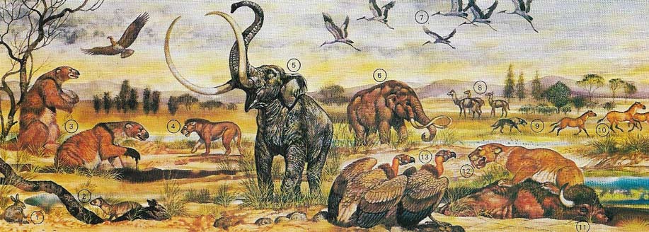 Pleistocene