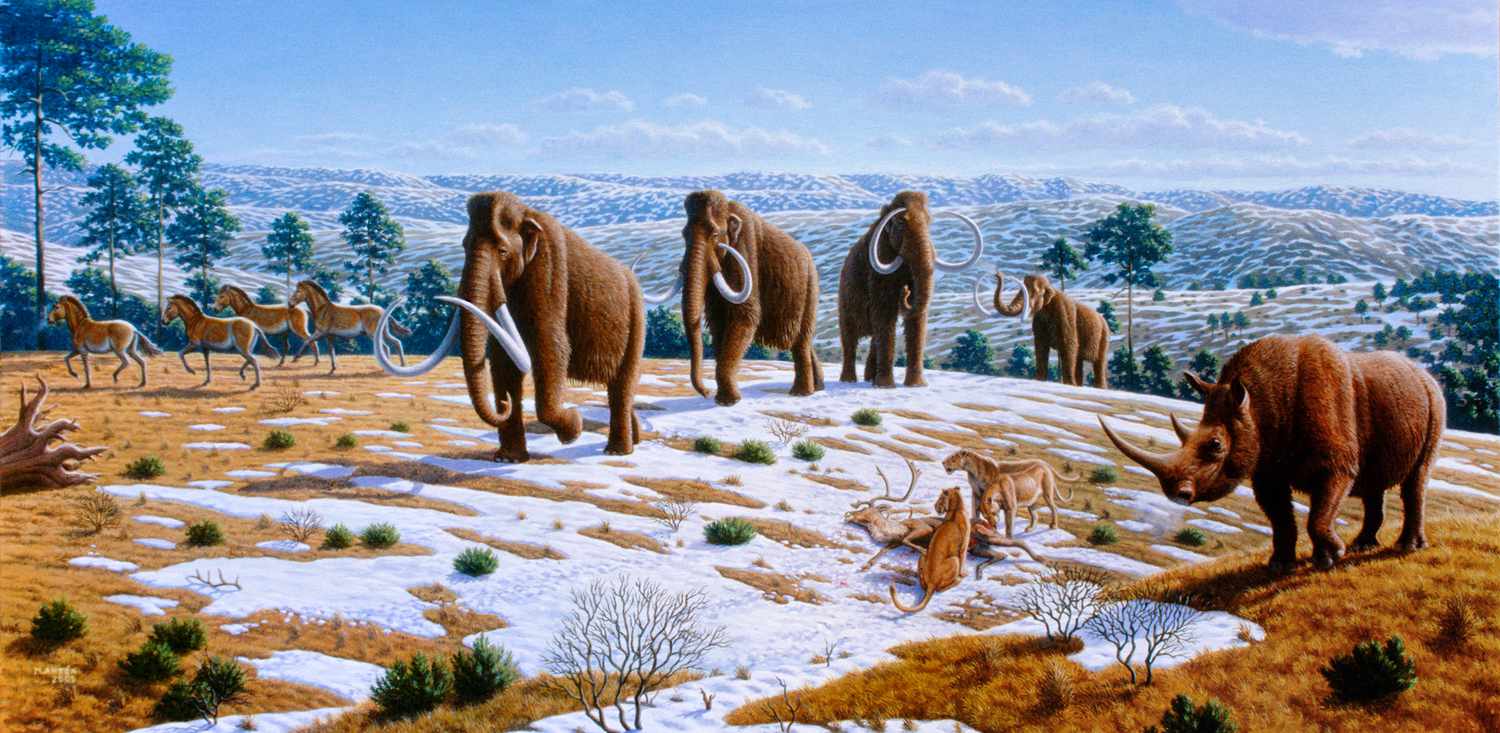 ice ages