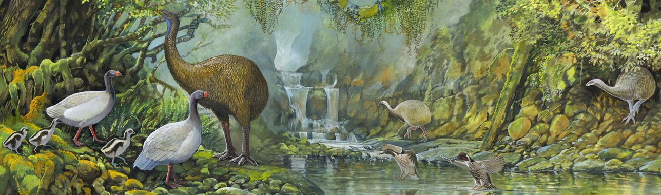 prehistoric nz