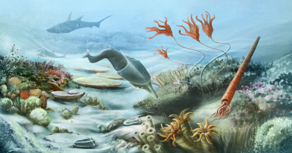 the paleozoic ocean