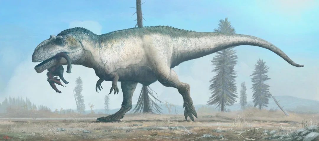 A large therapod dinosaur