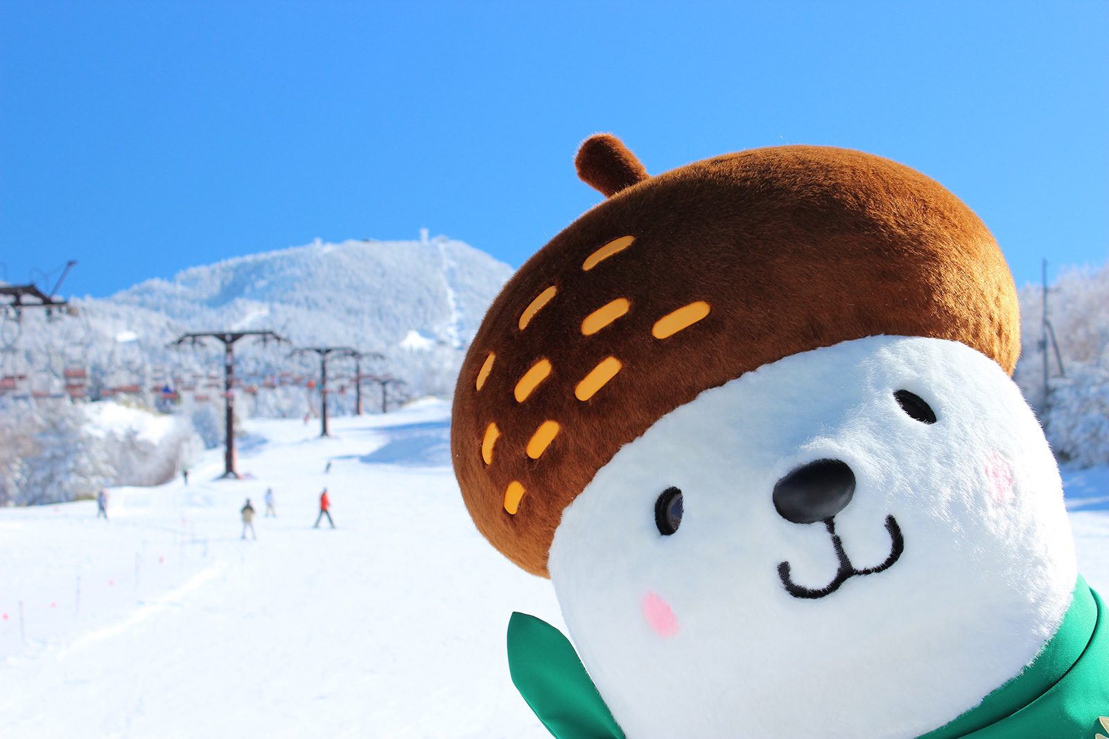 shigakogen-ski.or.jp