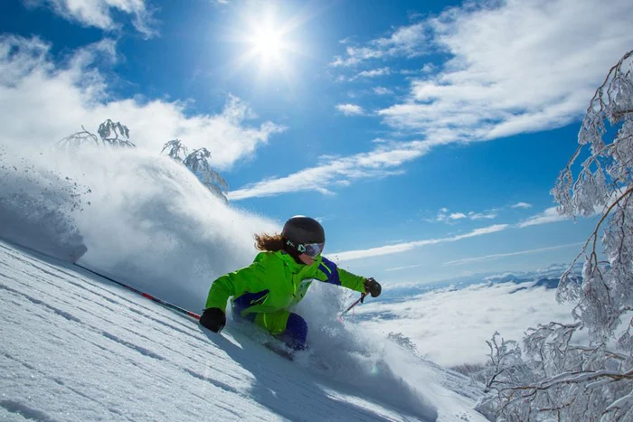 niseko.ne.jp